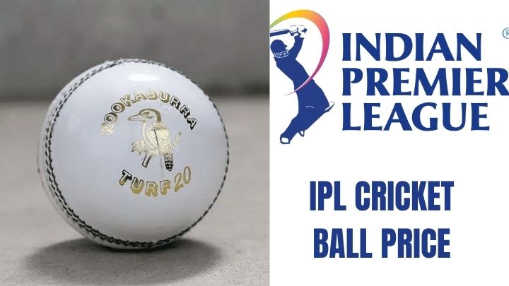 ipl cricket ball price